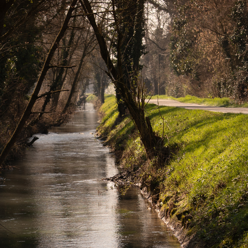 TRANSIZIONE ECOLOGICA: ACQUA ED ALTRE RISORSE (*)